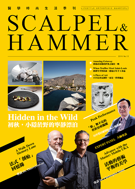S&H 2019 No.12