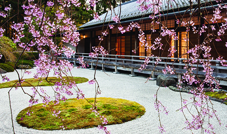 最美城市波特蘭，四季動人的日本花園