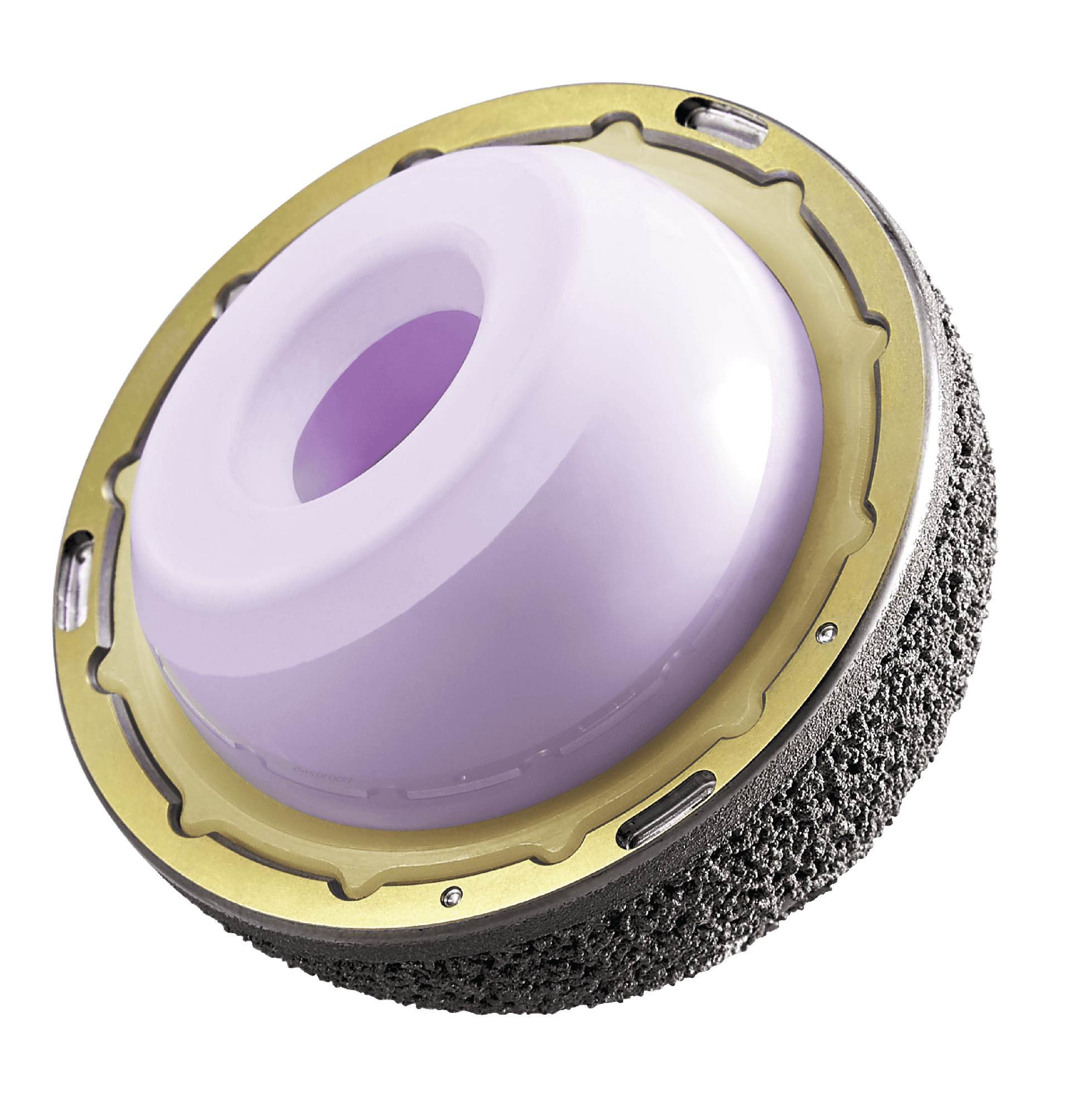 G7® Acetabular System