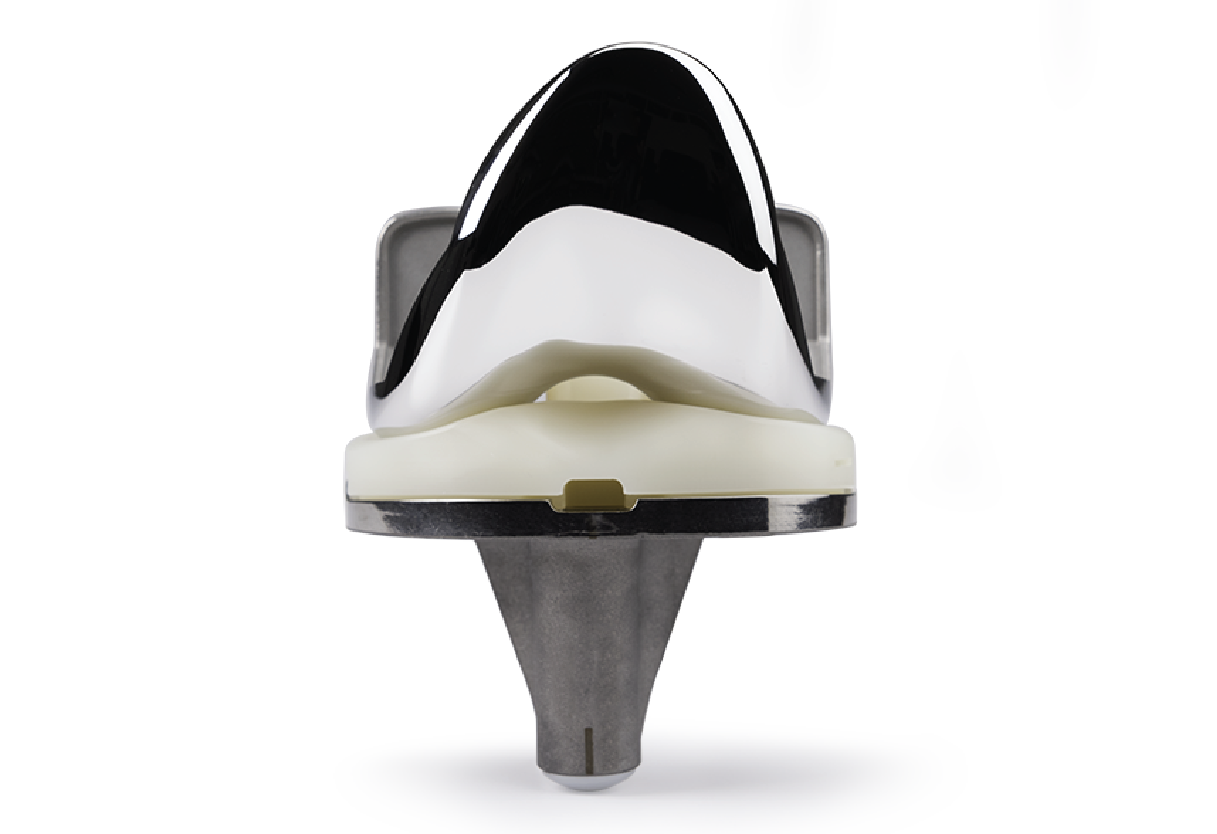 Persona® The Personalized Knee