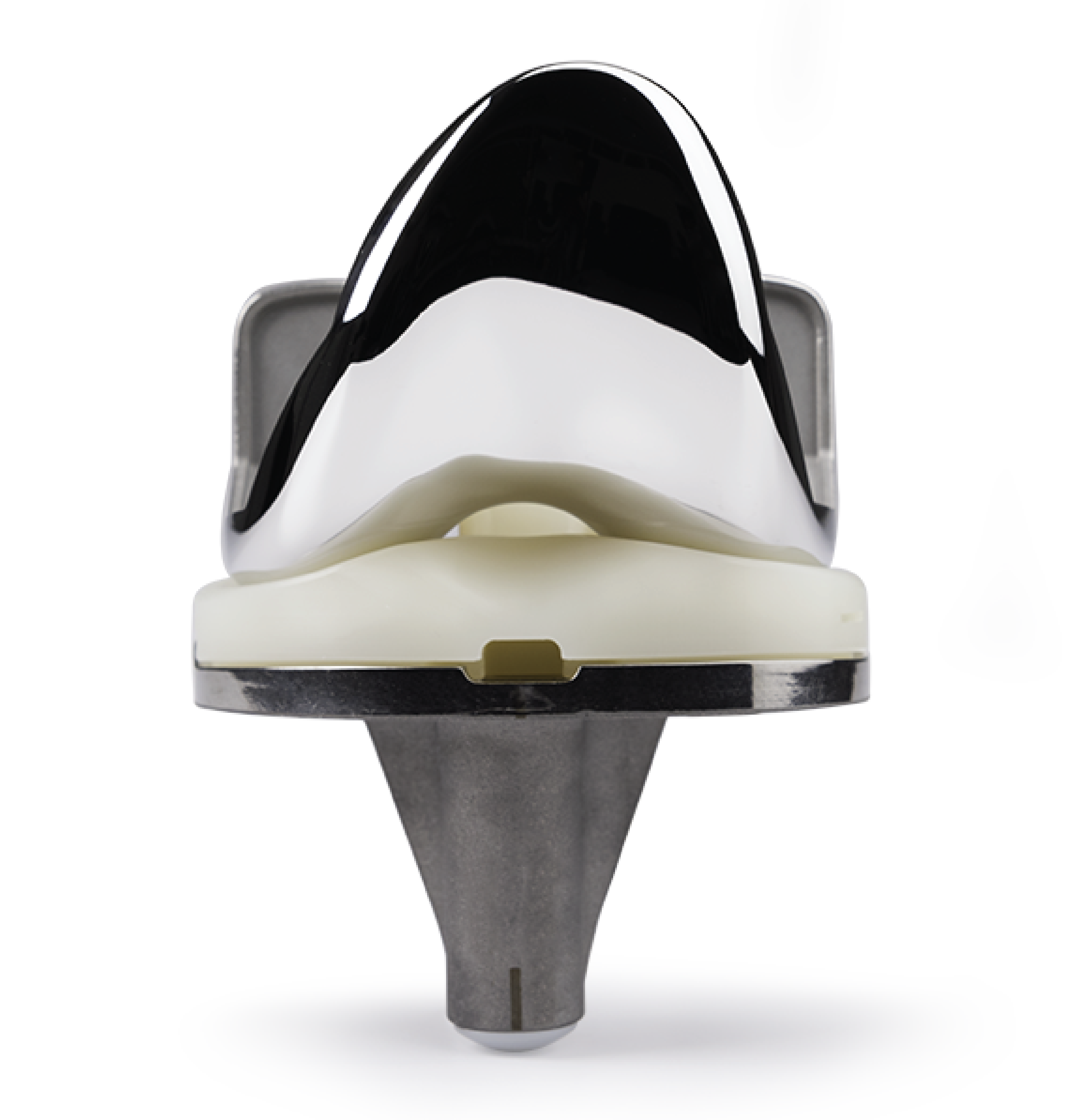 Persona® The Personalized Knee