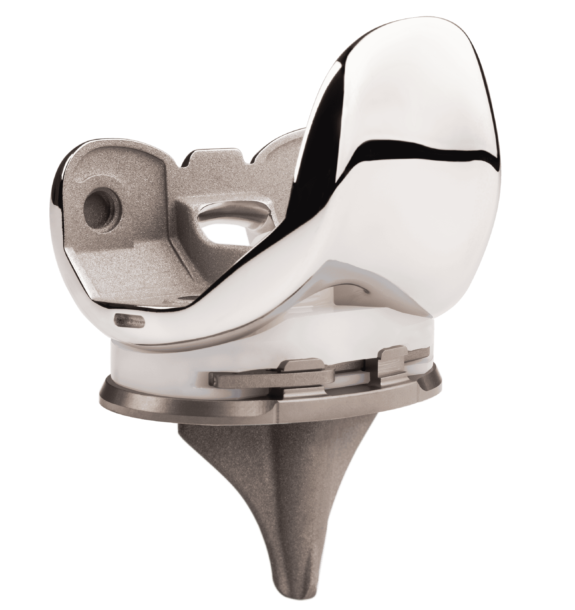 VANGUARD® KNEE SYSTEM